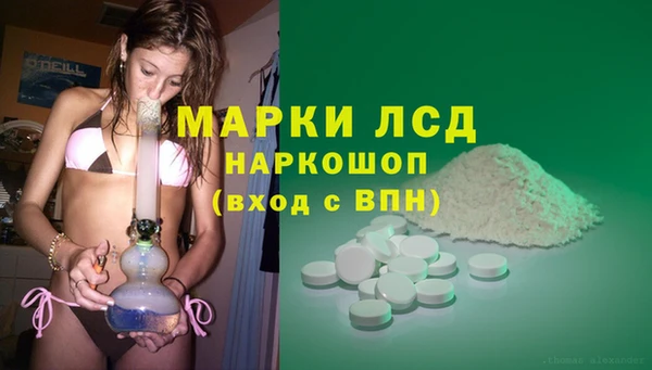 индика Баксан