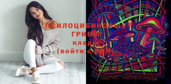 индика Баксан