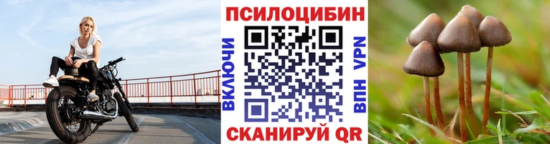 Псилоцибиновые грибы ЛСД Семикаракорск